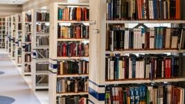 knihovna 2 library-488690 1280